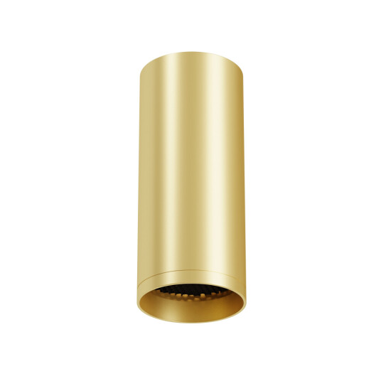 Фото Потолочный светильник Technical C010CL-01MG-N