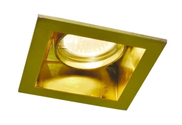 Фото Точечный встраиваемый светильник Arte Lamp TECHNIKA A8050PL-1GO