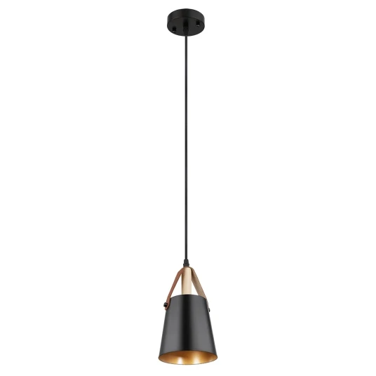 Фото Подвесной светильник Arte Lamp THOMAS A7032SP-1BK